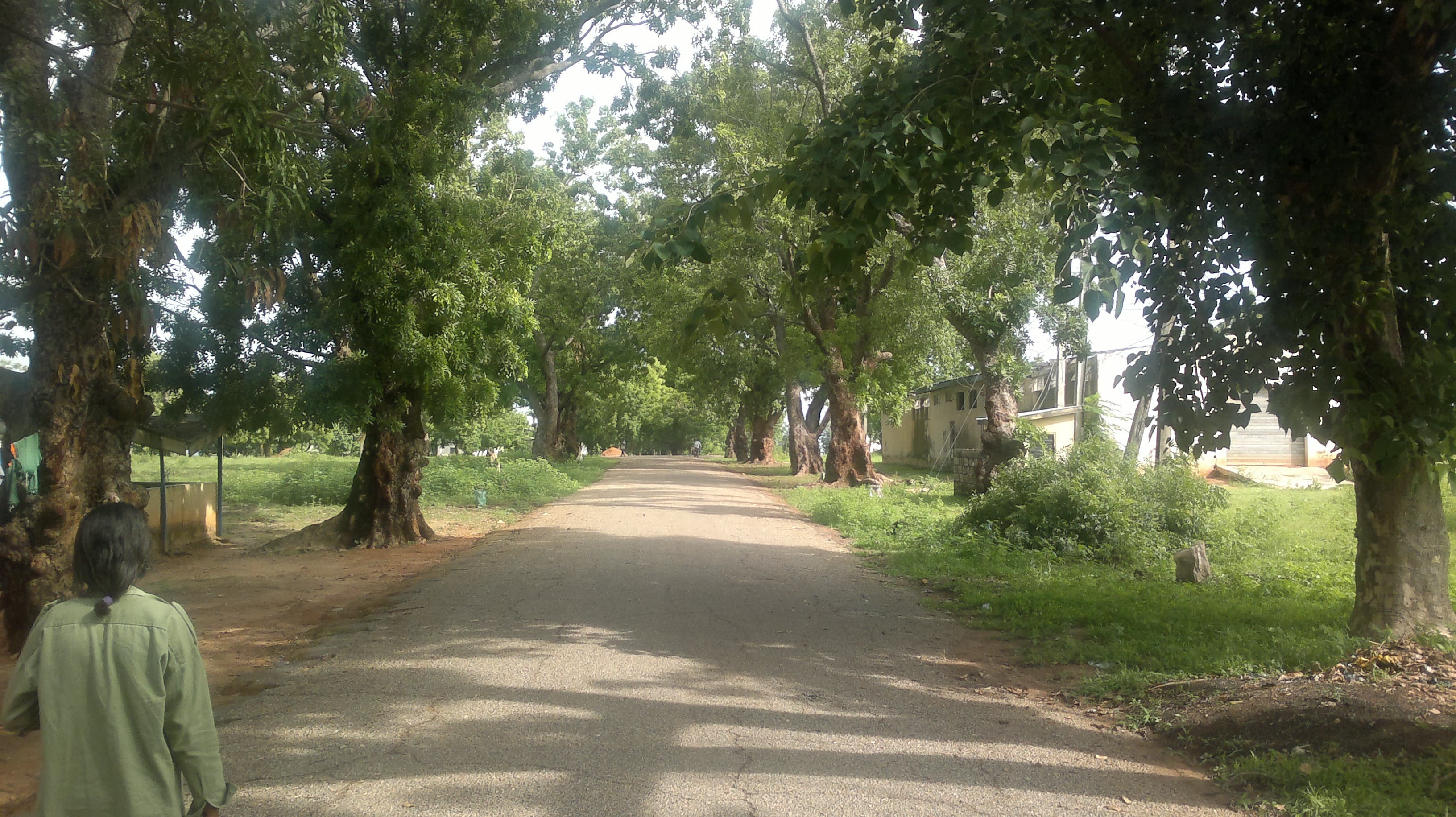 PoshPOULE Farm Location