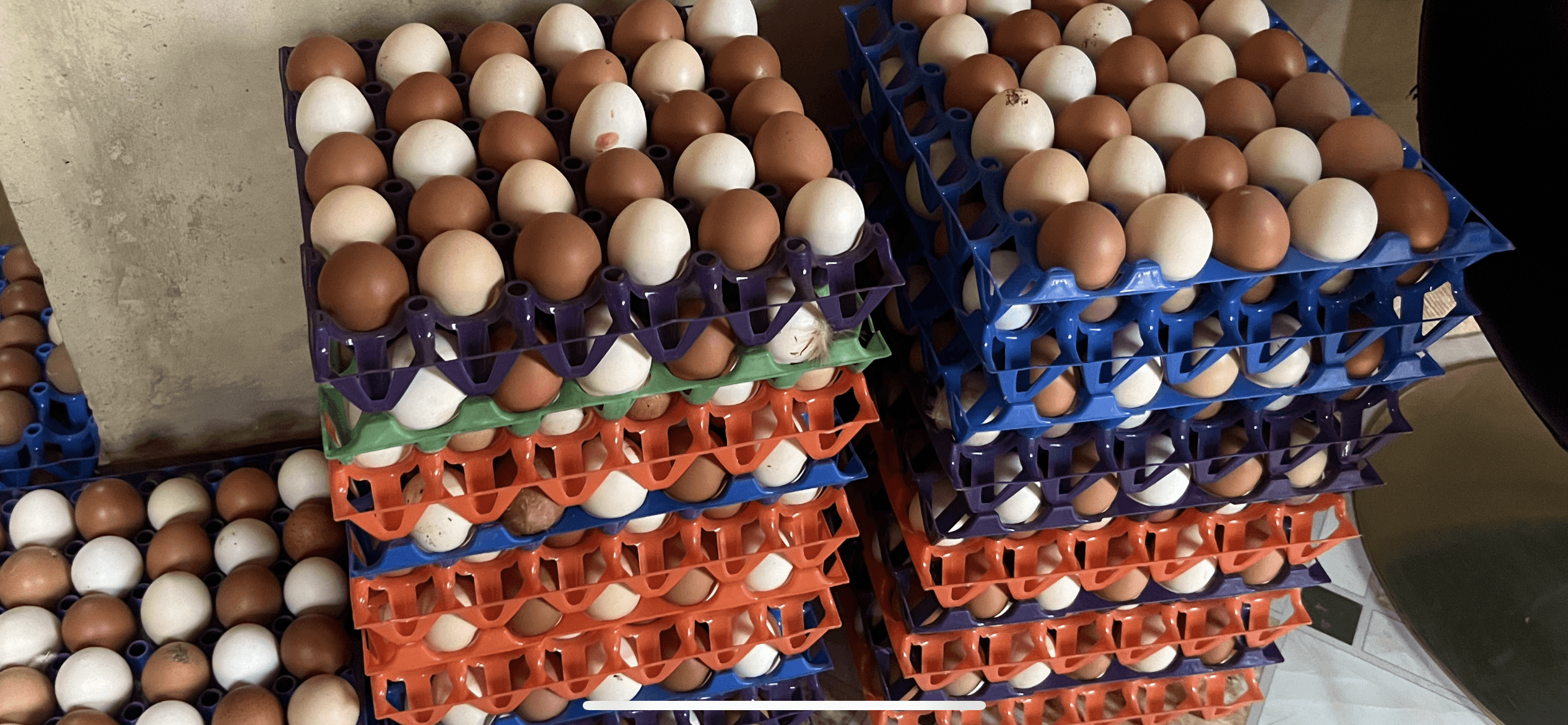 PoshPOULE Farm Products